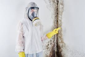 Best Emergency Mold Remediation  in Hebron, PA